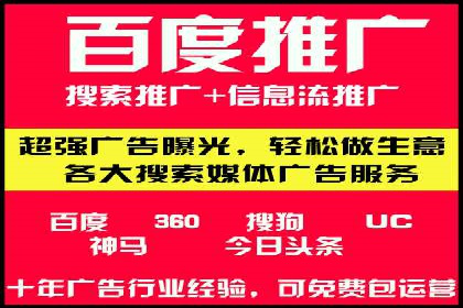 SEM代运营机构案例分析：优化策略与执行